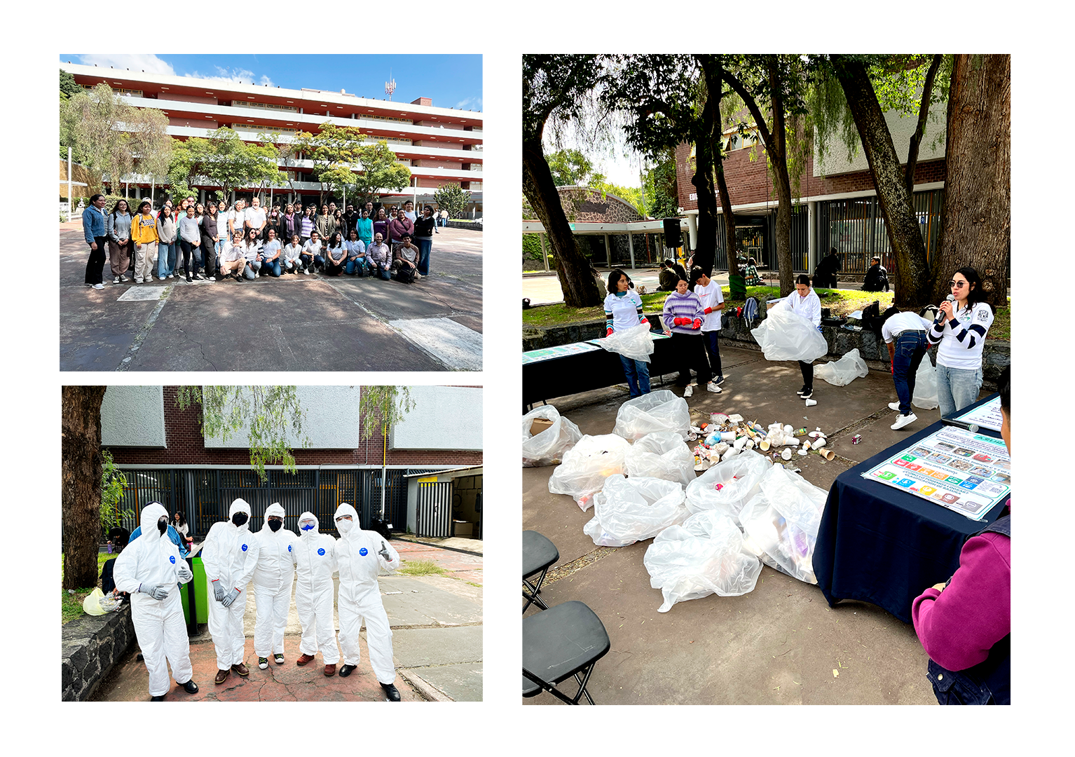 Segunda Jornada de Limpieza y Separación de Basura